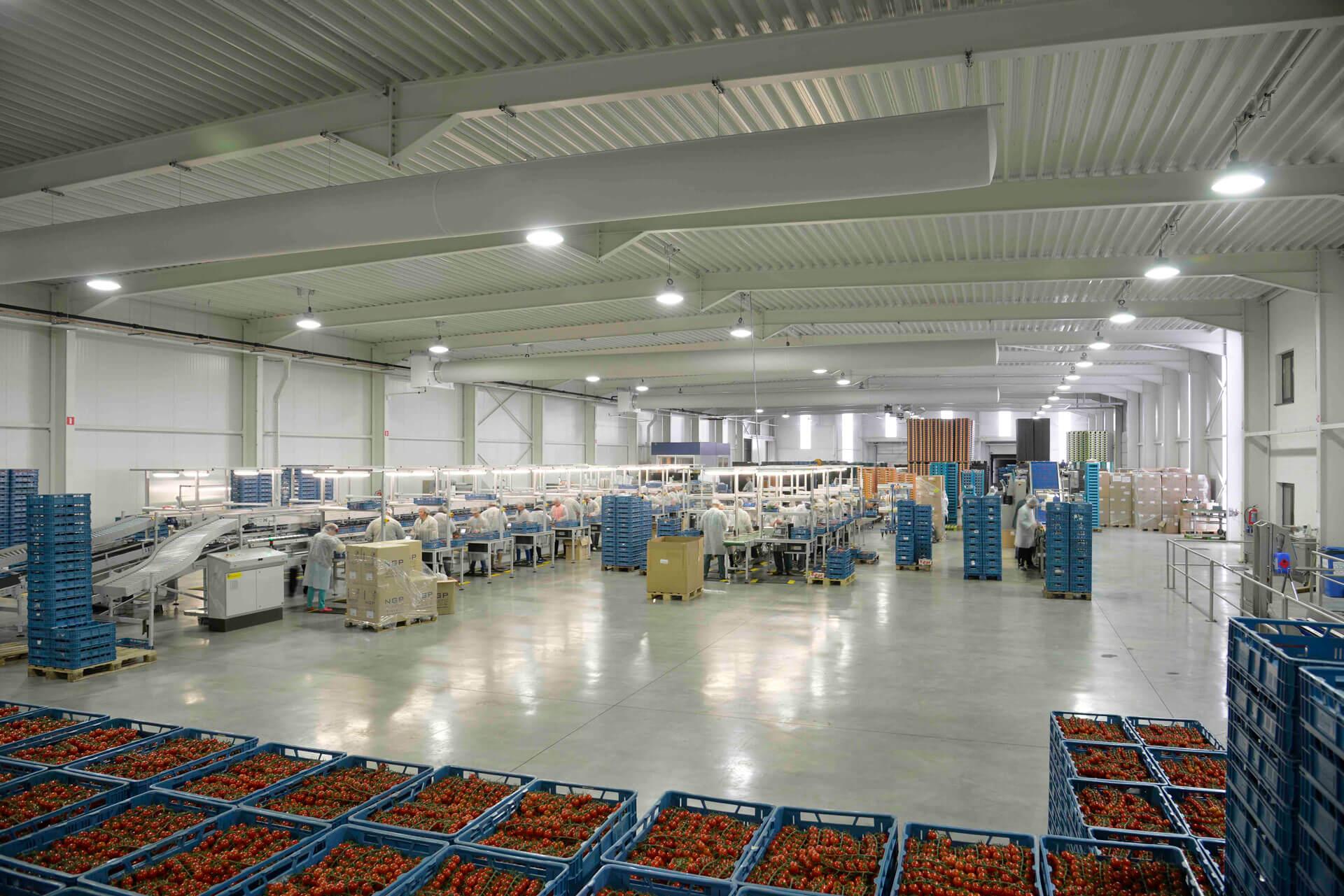 De producten van Ecolight Systems zijn ideaal voor het zwaardere werk, geschikt voor grote, hoge ruimtes en bestand tegen temperatuurschommelingen en vochtigheid.